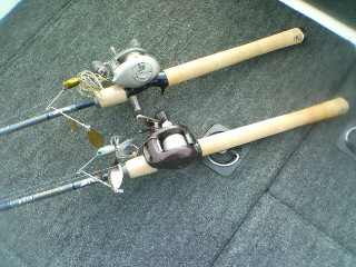 画像を等倍で表示します 画像